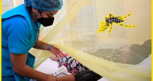 Los casos de dengue en el Perú se duplicaron en enero y febrero con respecto al mismo periodo del 2023